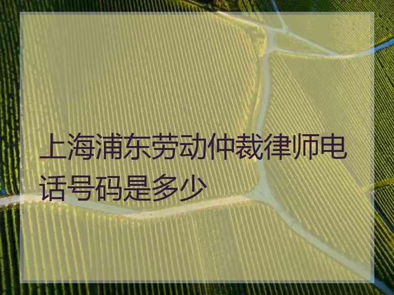 上海浦东劳动仲裁律师电话号码是多少