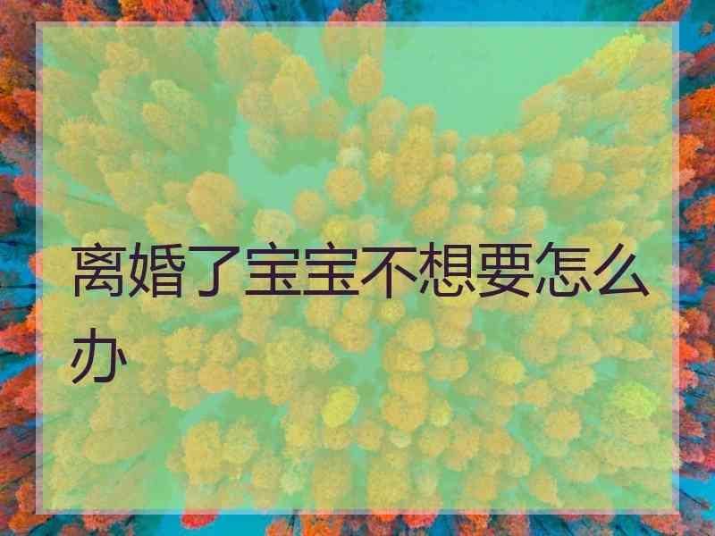 离婚了宝宝不想要怎么办