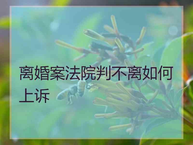 离婚案法院判不离如何上诉