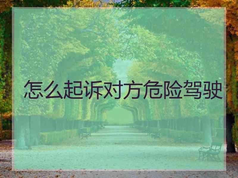 怎么起诉对方危险驾驶