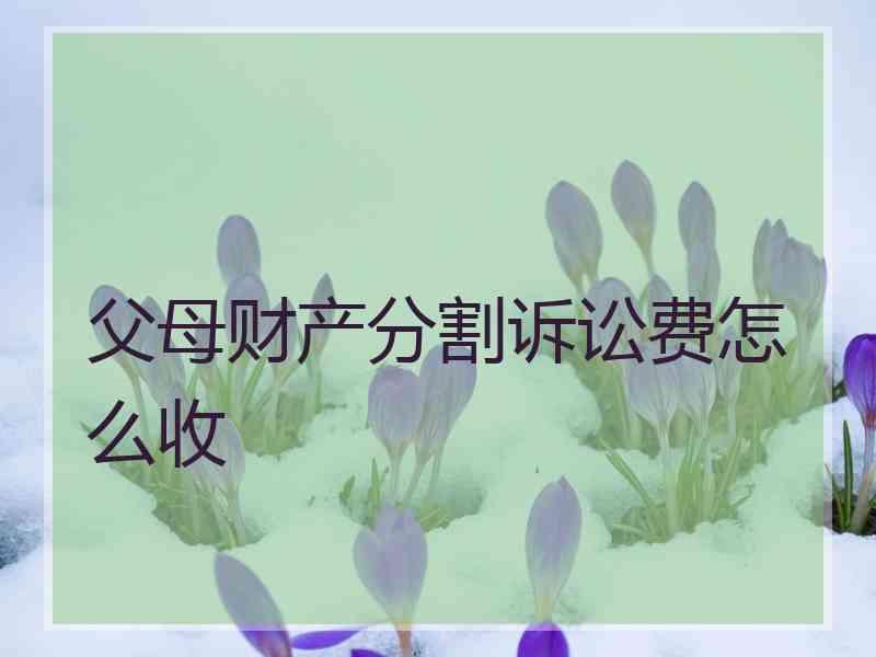 父母财产分割诉讼费怎么收