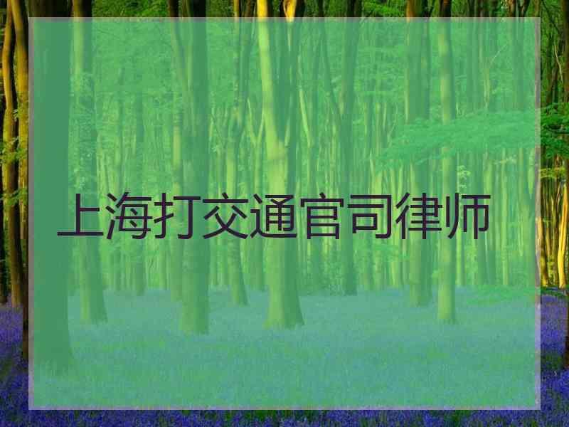 上海打交通官司律师