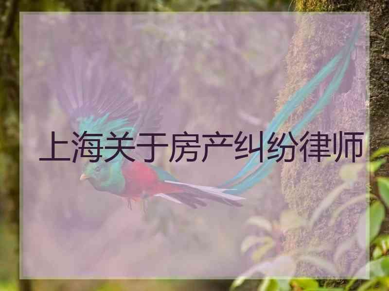 上海关于房产纠纷律师