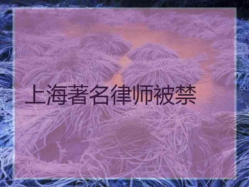 上海著名律师被禁