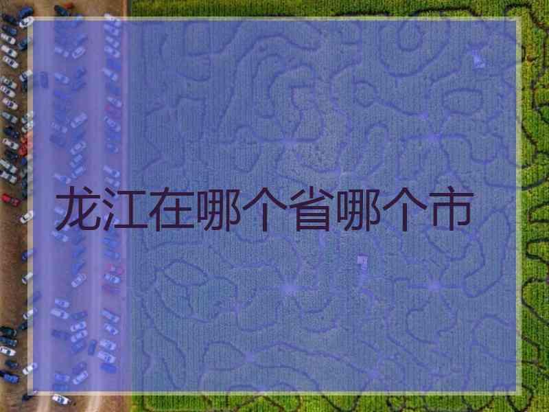 龙江在哪个省哪个市