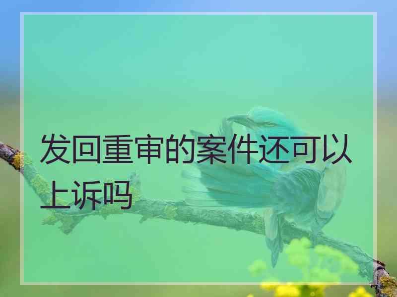 发回重审的案件还可以上诉吗