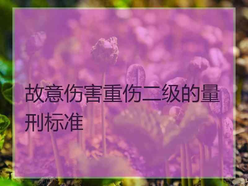 故意伤害重伤二级的量刑标准