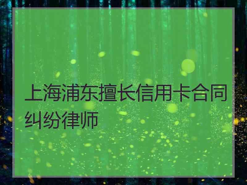 上海浦东擅长信用卡合同纠纷律师