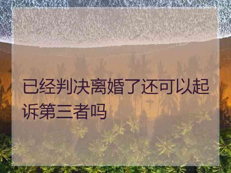 已经判决离婚了还可以起诉第三者吗