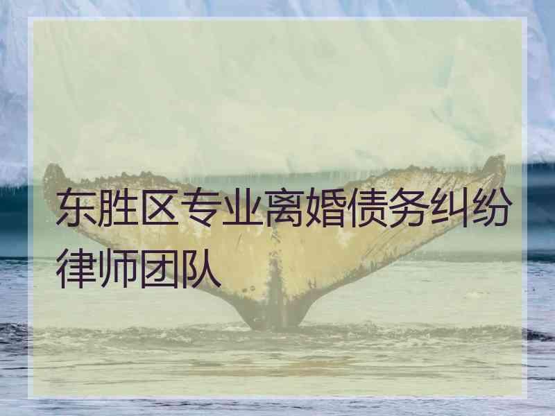 东胜区专业离婚债务纠纷律师团队