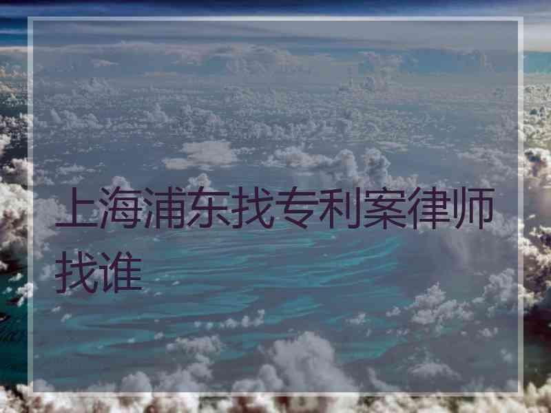 上海浦东找专利案律师找谁