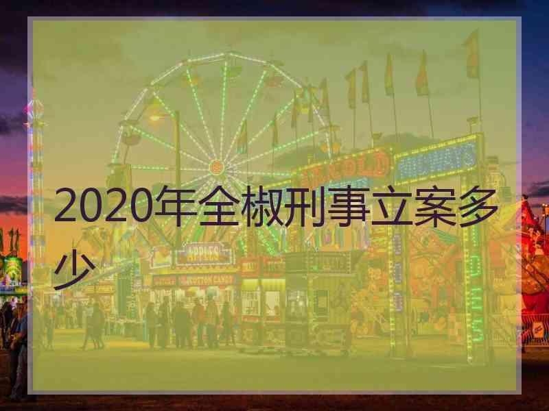 2020年全椒刑事立案多少