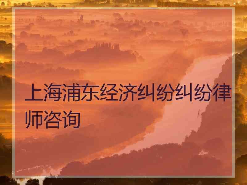 上海浦东经济纠纷纠纷律师咨询