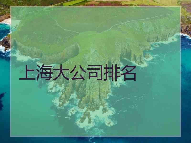 上海大公司排名