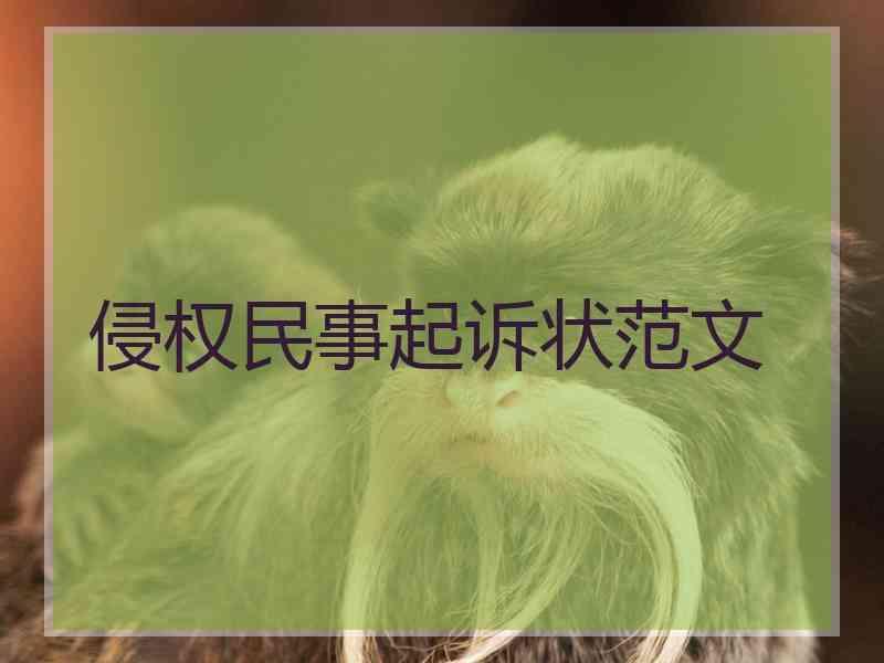 侵权民事起诉状范文