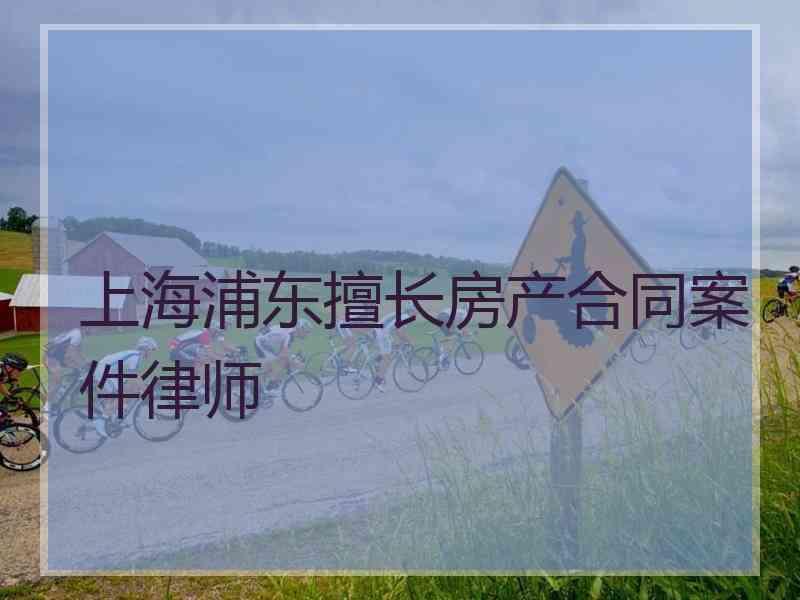 上海浦东擅长房产合同案件律师