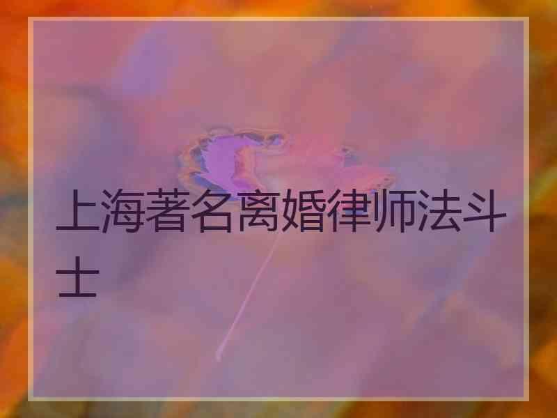 上海著名离婚律师法斗士