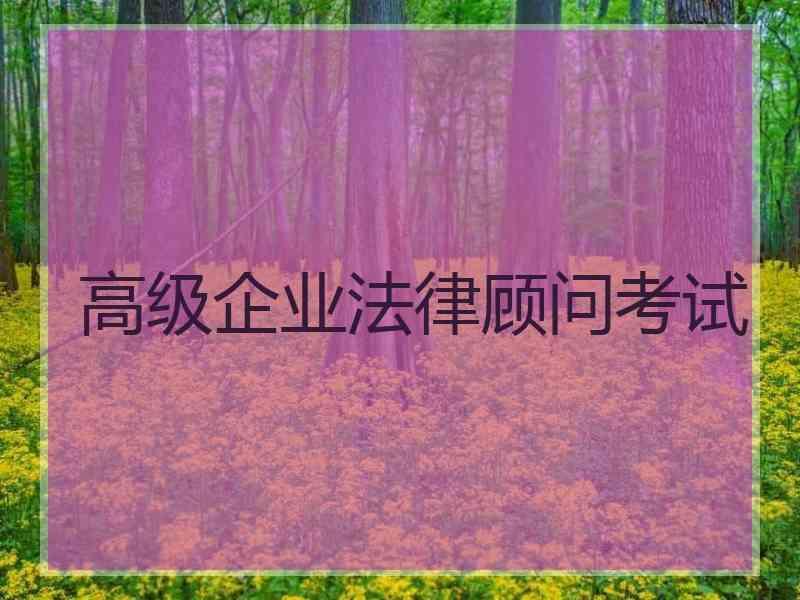 高级企业法律顾问考试