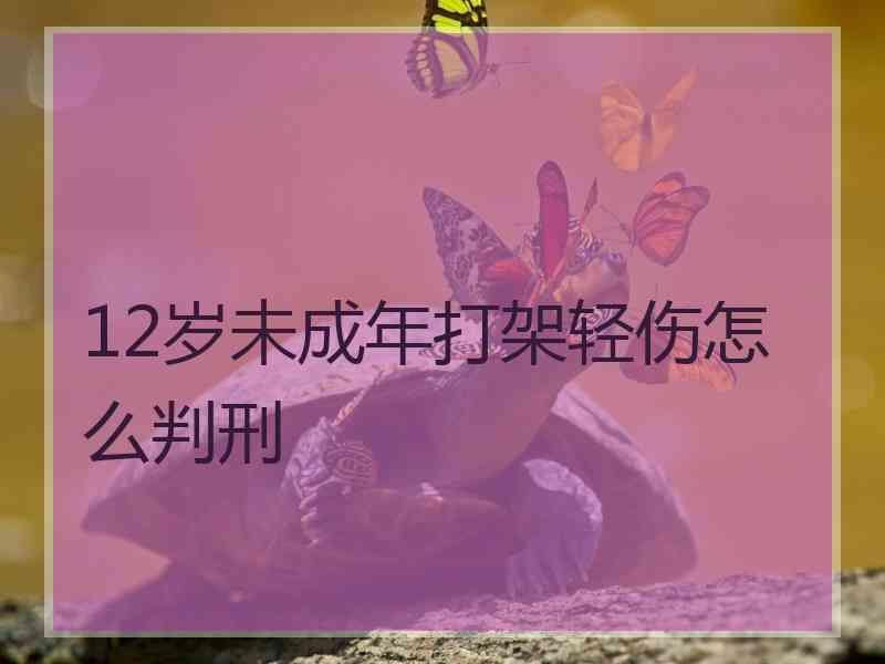 12岁未成年打架轻伤怎么判刑