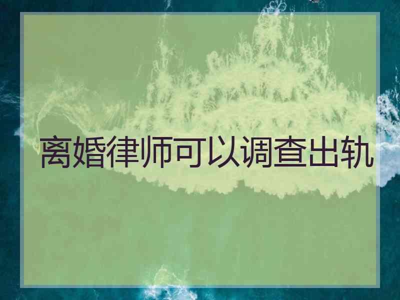 离婚律师可以调查出轨