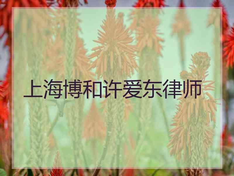 上海博和许爱东律师