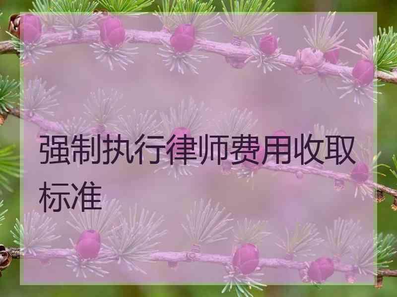 强制执行律师费用收取标准