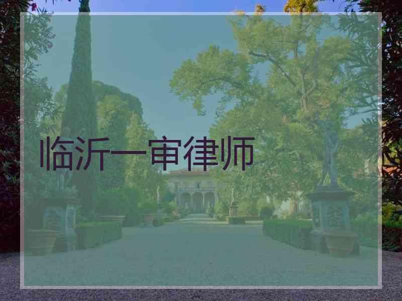 临沂一审律师