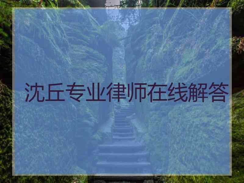 沈丘专业律师在线解答