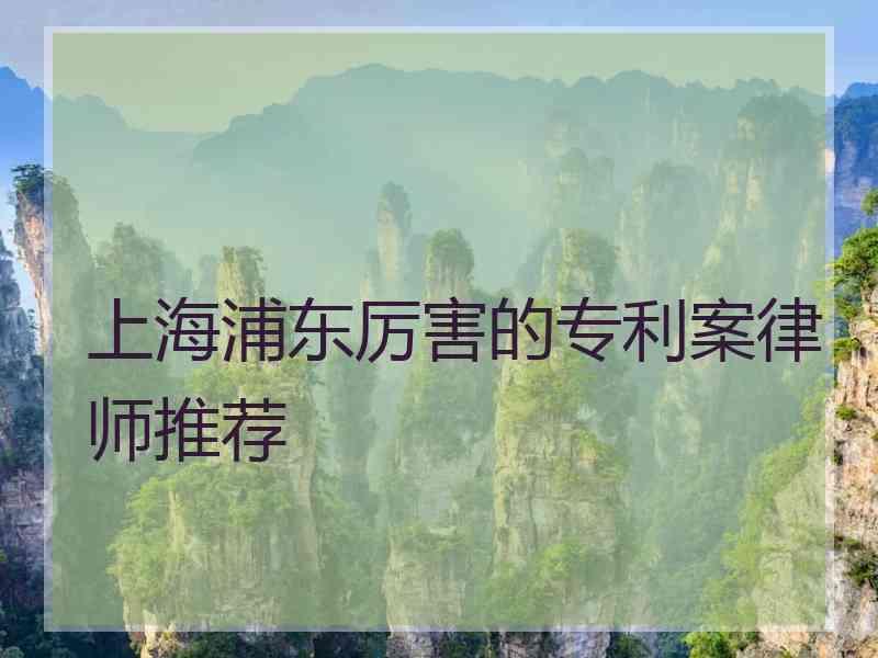 上海浦东厉害的专利案律师推荐