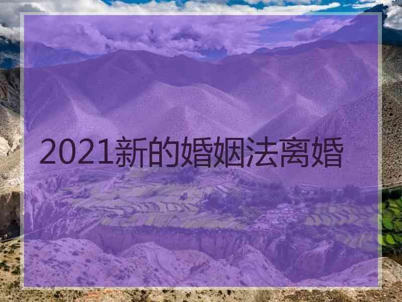 2021新的婚姻法离婚中国新婚姻法2021年离婚程序