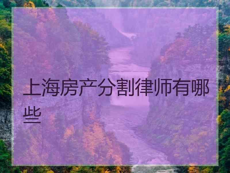 上海房产分割律师有哪些