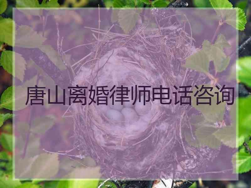 唐山离婚律师电话咨询