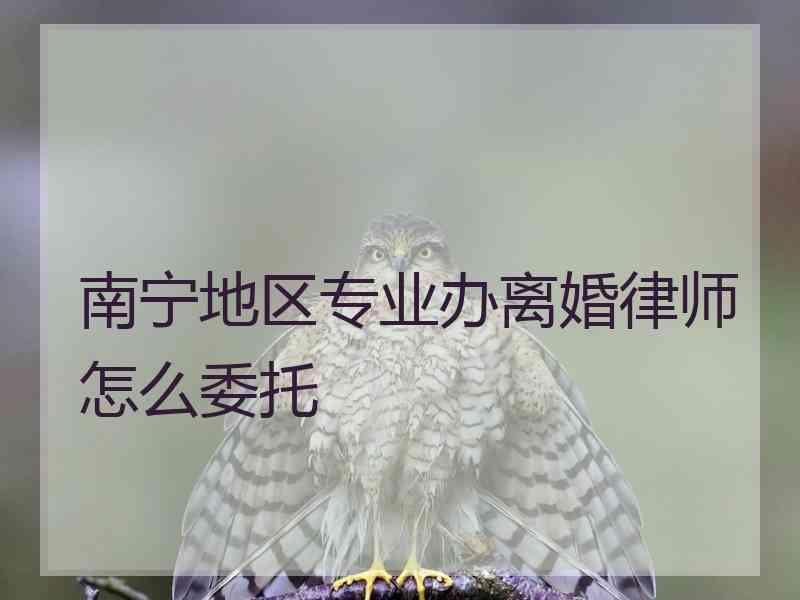 南宁地区专业办离婚律师怎么委托