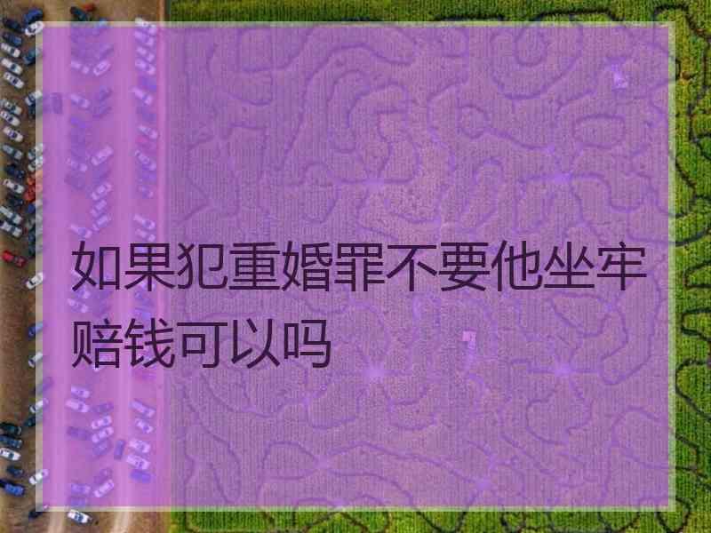 如果犯重婚罪不要他坐牢赔钱可以吗