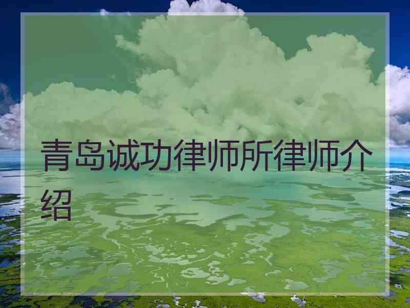 青岛诚功律师所律师介绍