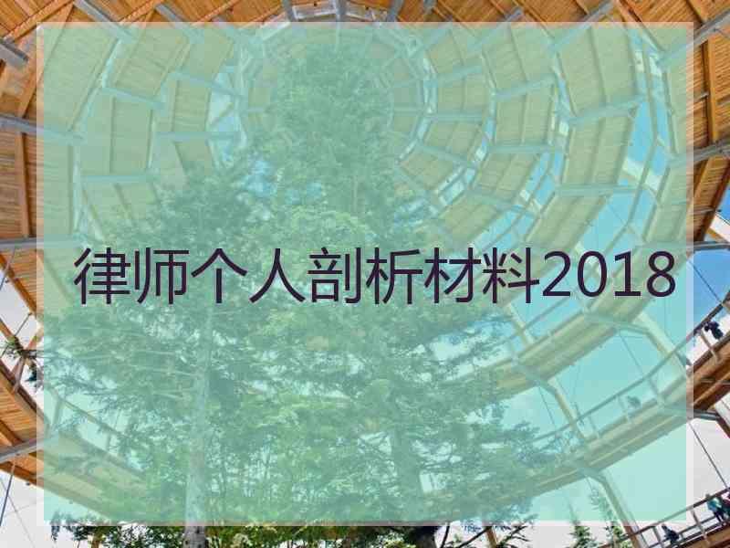 律师个人剖析材料2018