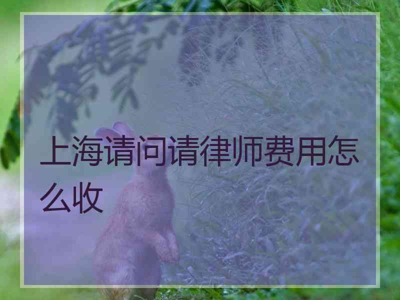 上海请问请律师费用怎么收