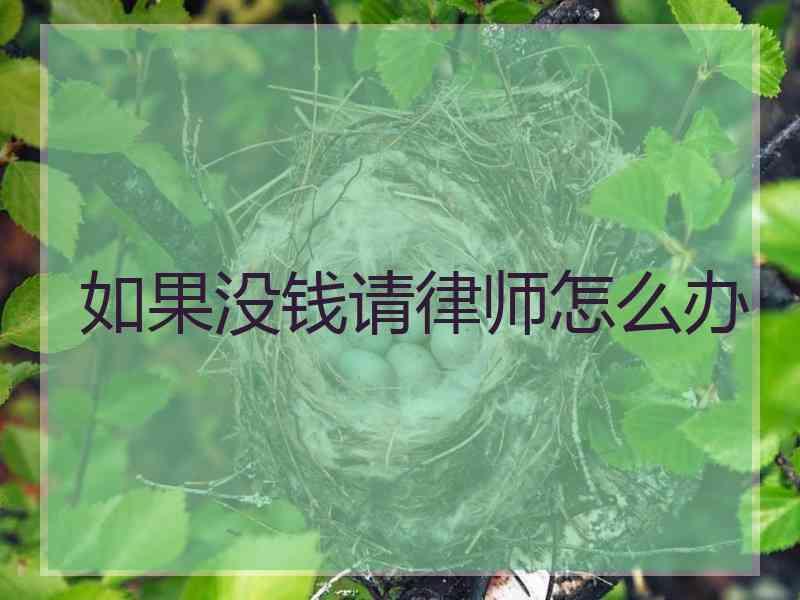 如果没钱请律师怎么办