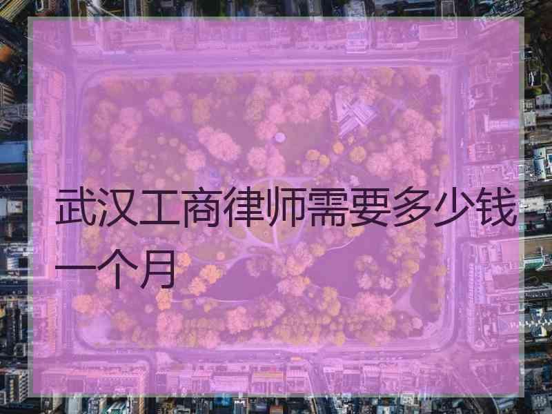 武汉工商律师需要多少钱一个月