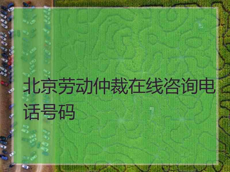 北京劳动仲裁在线咨询电话号码