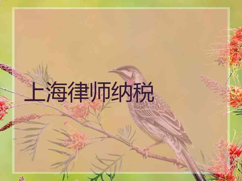 上海律师纳税