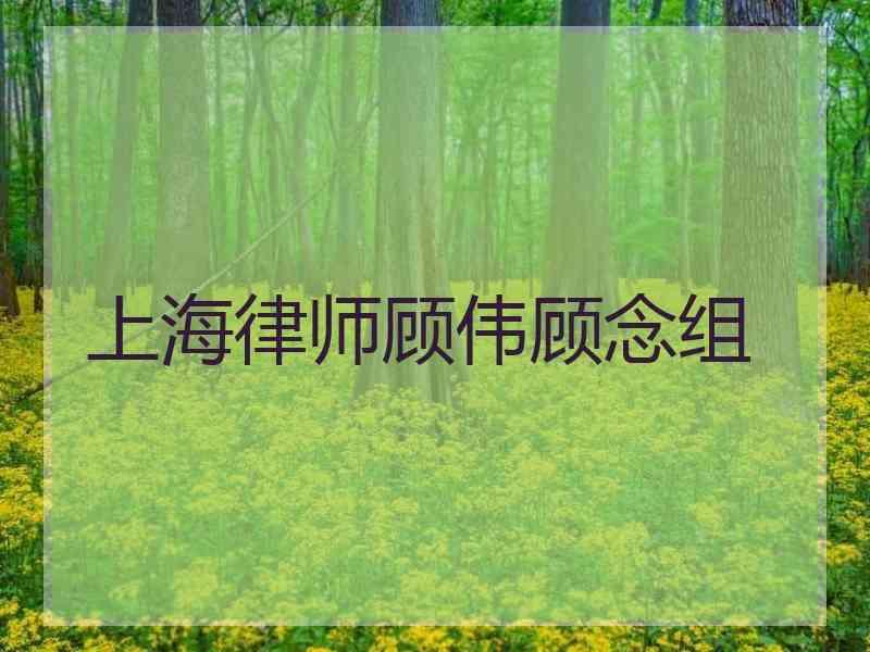 上海律师顾伟顾念组