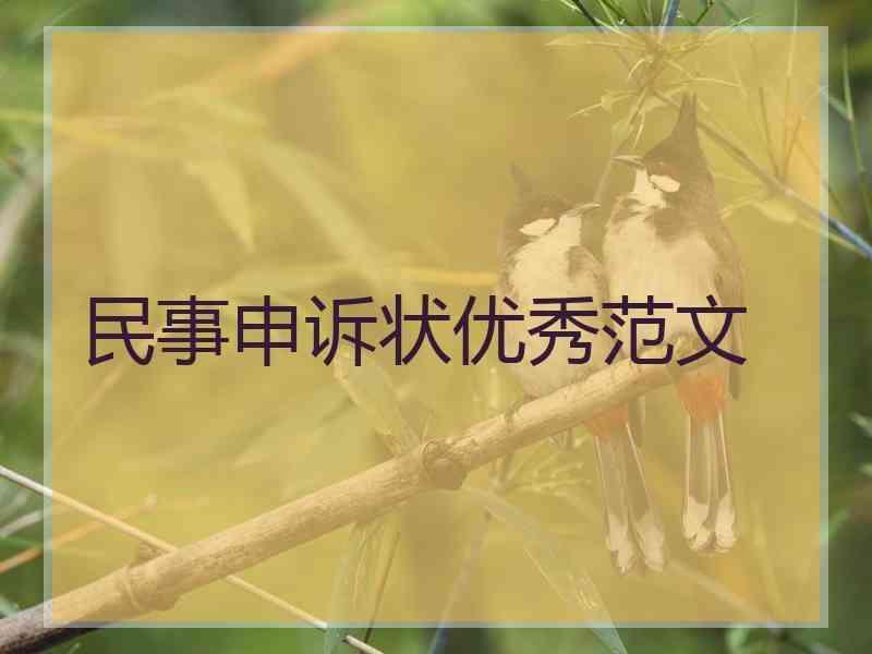 民事申诉状优秀范文