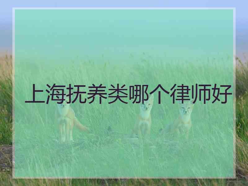 上海抚养类哪个律师好