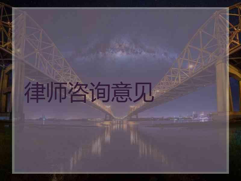 律师咨询意见