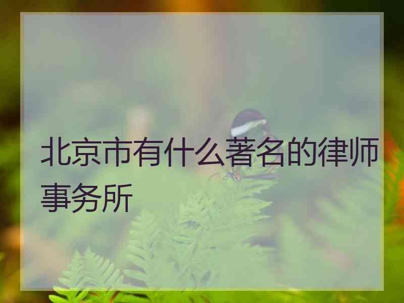 北京市有什么著名的律师事务所