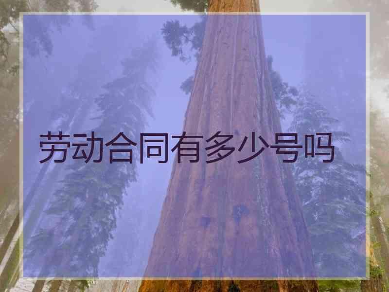 劳动合同有多少号吗