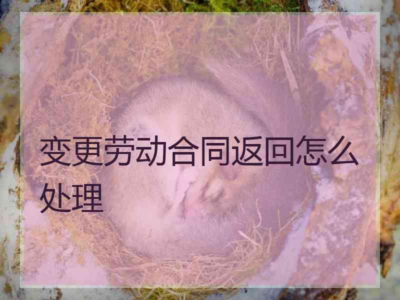 变更劳动合同返回怎么处理