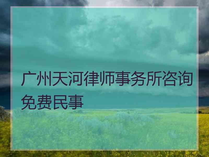 广州天河律师事务所咨询免费民事