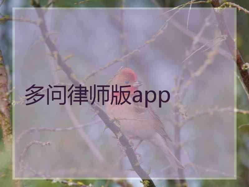 多问律师版app